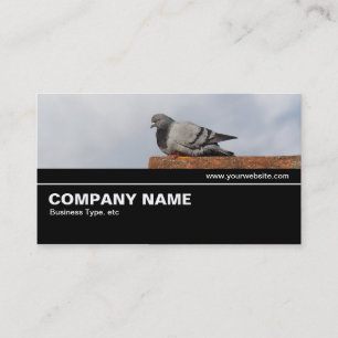Halfway V2 032 - Good Morning Pigeon Business Card
