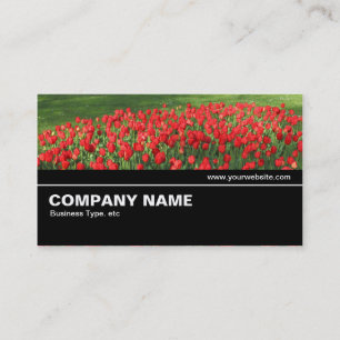 Halfway V2 035 - Bed of Red Tulips 02 Business Card
