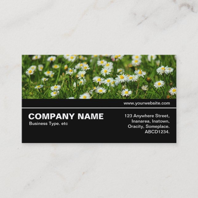 Halfway V3 - Daisy Meadow Business Card (Front)