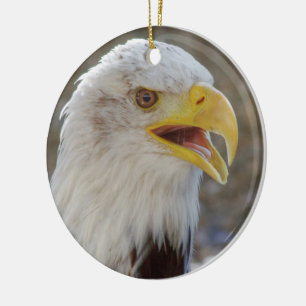 Haliaeetus leucocephalus ceramic tree decoration