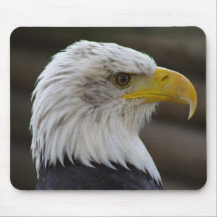 Haliaeetus leucocephalus mouse mat