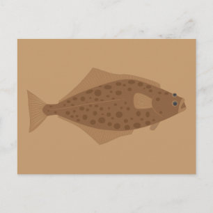 Halibut Fish Postcard