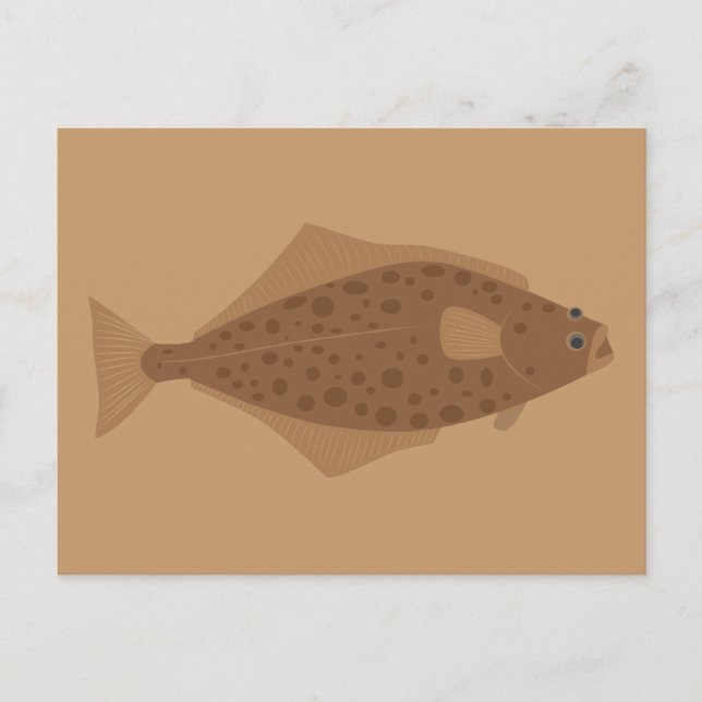 Halibut Fish Postcard (Front)