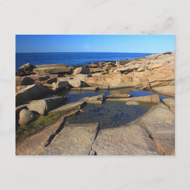 Halibut Point Tide Pool Rockport Cape Ann Postcard (Front)