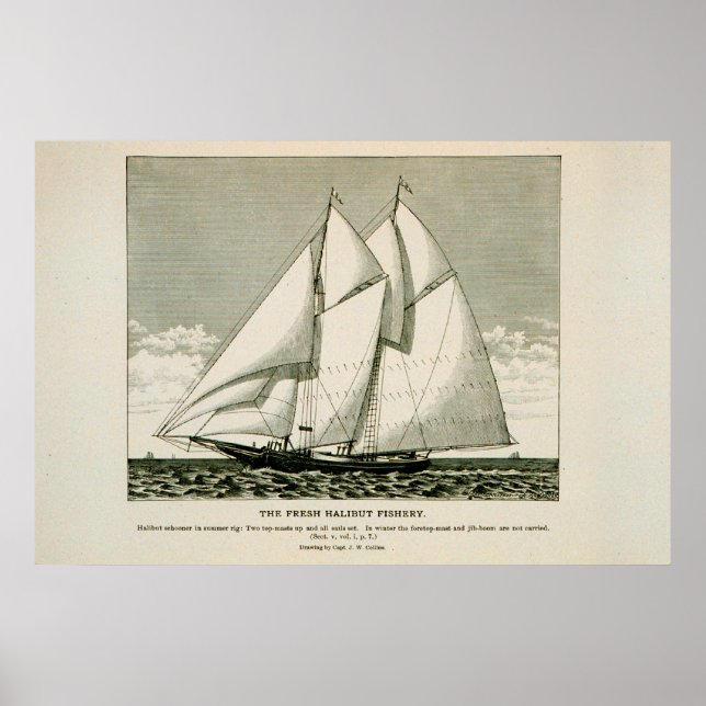 Halibut schooner poster (Front)