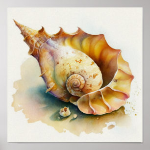 Haliotis conch shell in watercolor poster