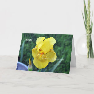"Halito" Choctaw Iris greeting Card