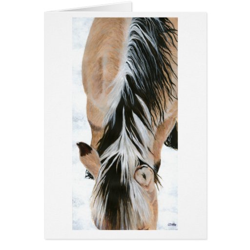 Image of Hallie's Mane