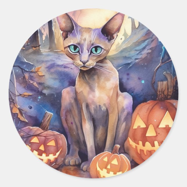 Halloween Abyssinian Cat With Pumpkins Scary Classic Round Sticker (Front)