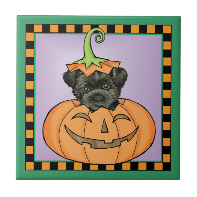 Halloween Affenpinscher Tile (Front)