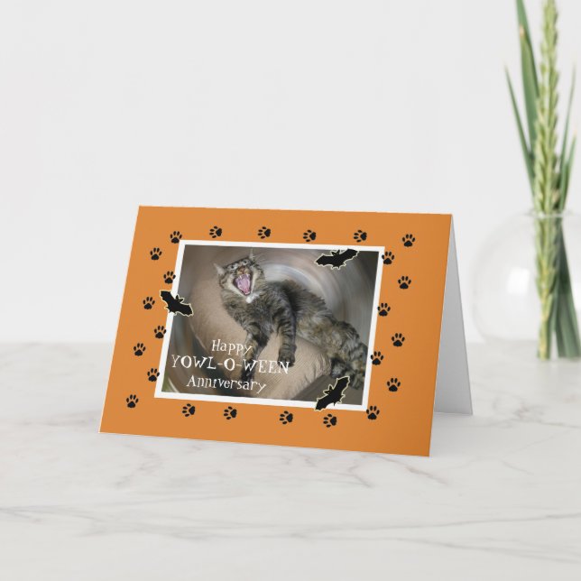 Halloween Anniversary Scaredy Cat Bats Card (Front)