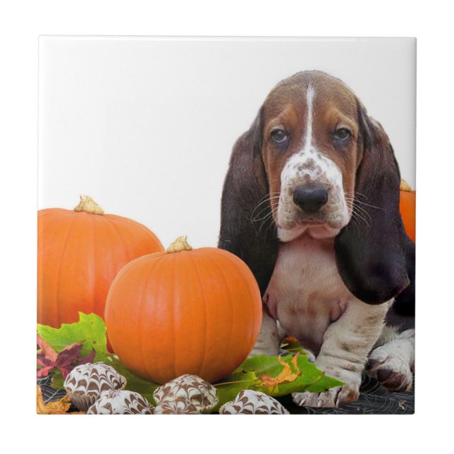 Halloween Basset Hound Ceramic Tile (Front)