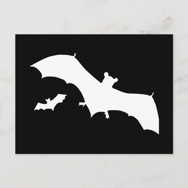 Halloween Bats Postcard (Front)
