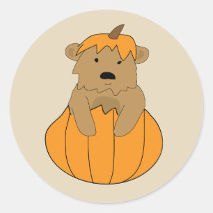 Halloween Bear in a Pumpkin Autumn Classic Round Sticker