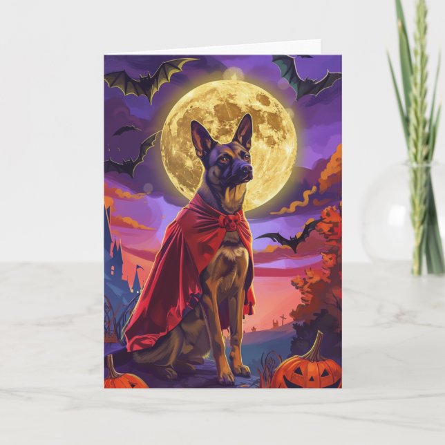 Halloween Belgian Malinoi Dog Pumpkins Scary  Card (Front)