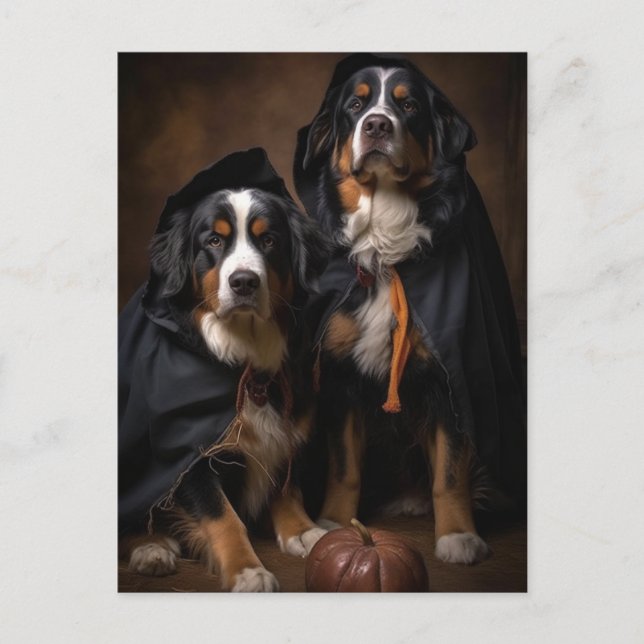Halloween Bernese Mountain Dogs Postcard (Front)
