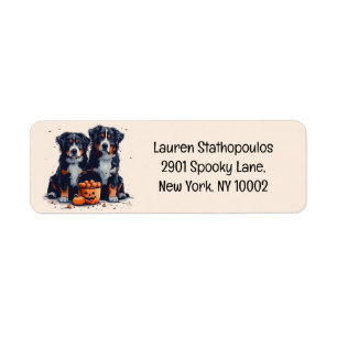 Halloween Bernese Mountain Dogs Pumpkin