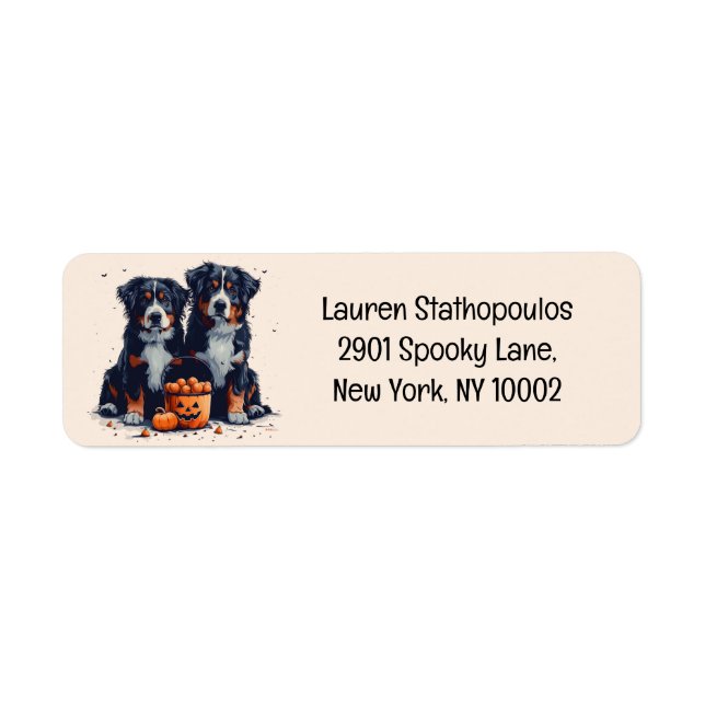Halloween Bernese Mountain Dogs Pumpkin (Front)