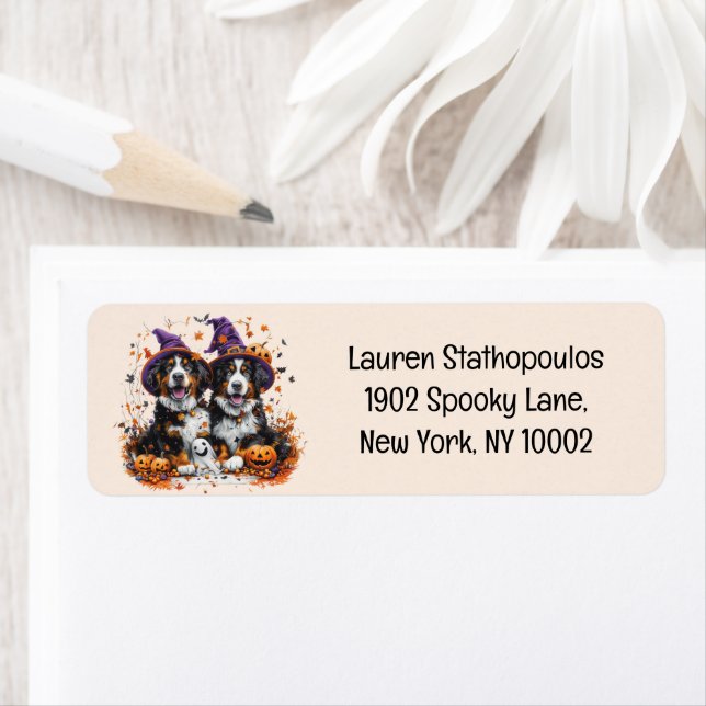 Halloween Bernese Mountain Dogs Witch Ghost (Insitu)