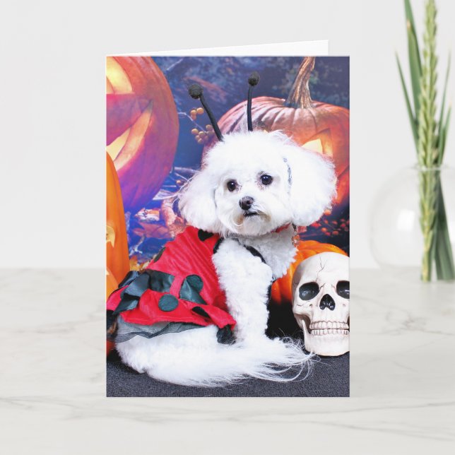 Halloween - Bichon Frise - Mia Card (Front)