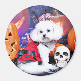 Halloween - Bichon Frise - Mia Magnet