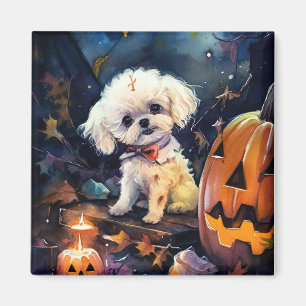 Halloween Bichon Frise With Pumpkins Scary Magnet