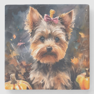 Halloween Biewer Terrier With Pumpkins Scary Stone Coaster