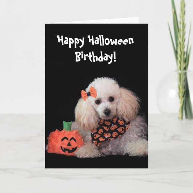 Halloween Birthday poodle dog card (Front)