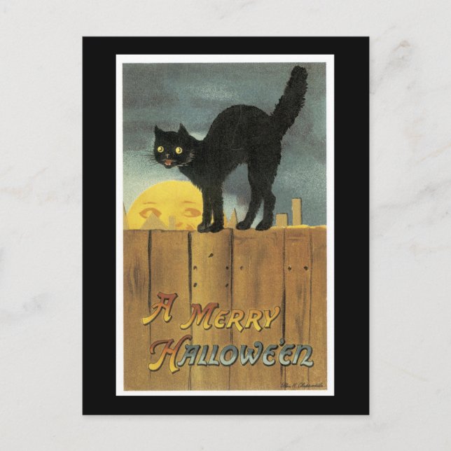 Halloween Black Cat and Fullmoon Postcard (Front)
