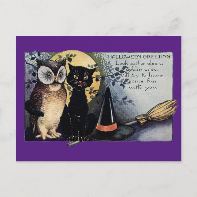 Halloween Black Cat and Owl Postcard (Front)