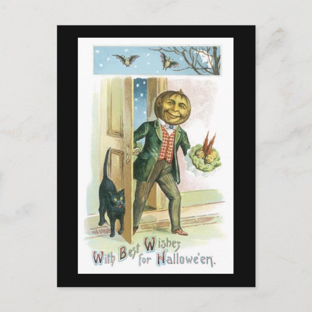 Halloween Black Cat and Pumpkin Man Postcard (Front)
