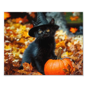 Halloween Black Cat and Pumpkin Photo Print
