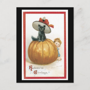 Halloween Black Cat and Pumpkin Postcard