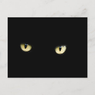 Halloween Black Cat Eyes Postcard