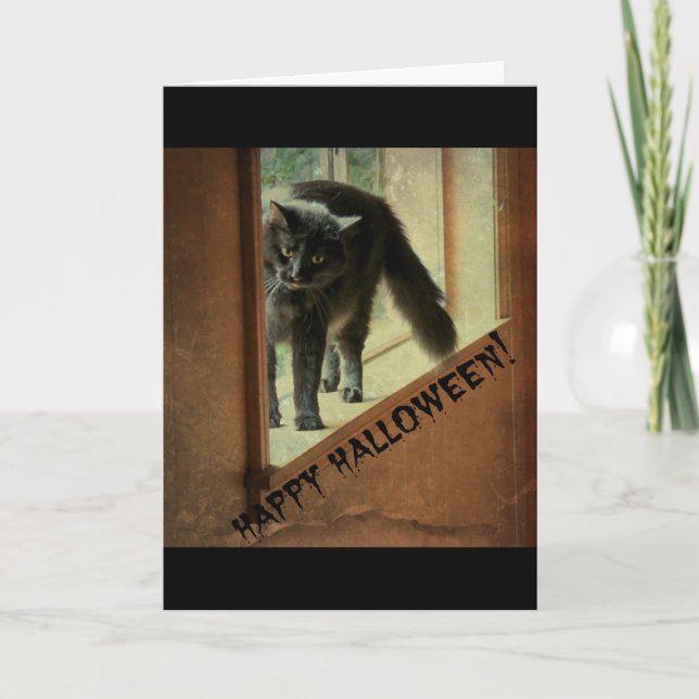Halloween Black Cat, have a frightful good time! Card (Front)