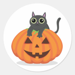 Halloween black cat on pumpkin jack o lantern cute classic round sticker