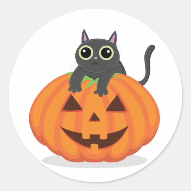 Halloween black cat on pumpkin jack o lantern cute classic round sticker (Front)