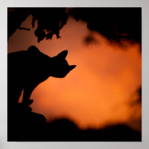Halloween Black Cat Orange Background Customise Poster