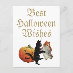 Halloween Black Cat, Owl and Pumpkin Postcard