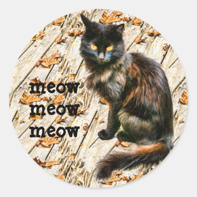 Halloween Black Cat Pet Photography Meow Meow Meow Classic Round Sticker (Front)