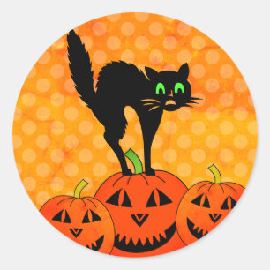 Halloween Black Cat Pumpkin Jack O' Lantern Classic Round Sticker