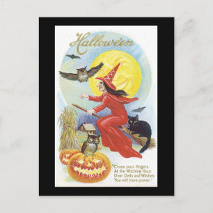 Halloween Black Cat, Witch and Owl Postcard