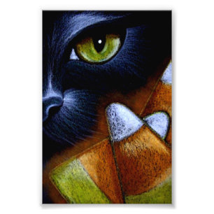 HALLOWEEN BLACK CAT with CANDY CORNS 4" X 6" Photo Print