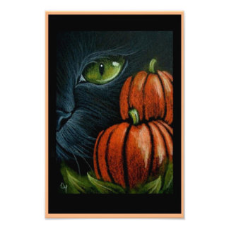 HALLOWEEN BLACK CAT with PIMPKINS 4" X 6" PRINT