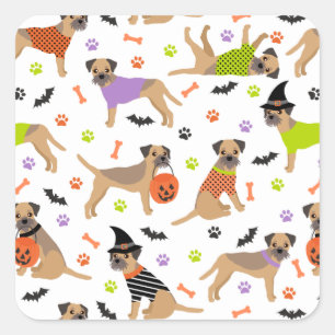 Halloween Border Terrier Square Sticker