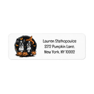 Halloween Boston Terrier Dogs