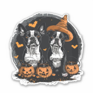 Halloween Boston Terrier Dogs