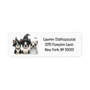 Halloween Boston Terrier Dogs