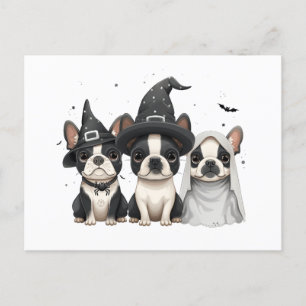 Halloween Boston Terrier Dogs Postcard