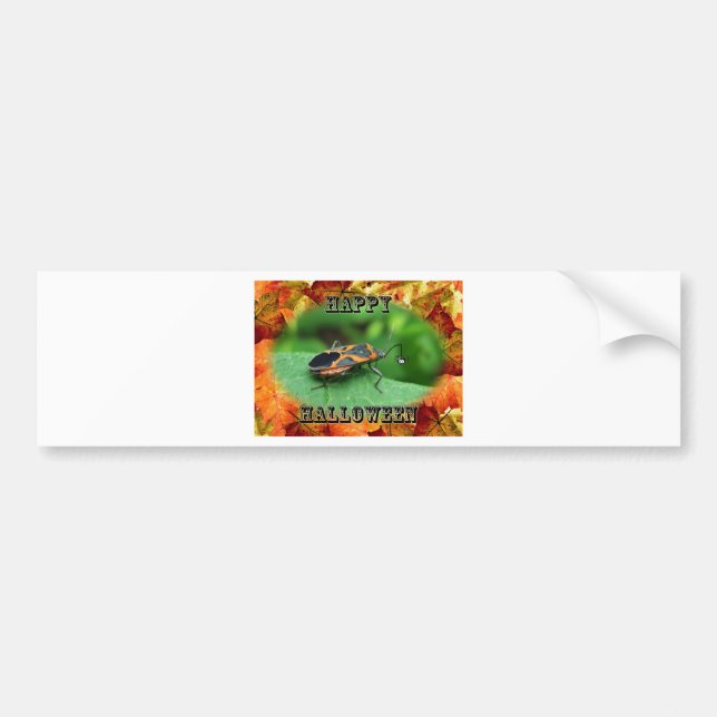 Halloween Box Elder Bug Coordinating Items Bumper Sticker (Front)